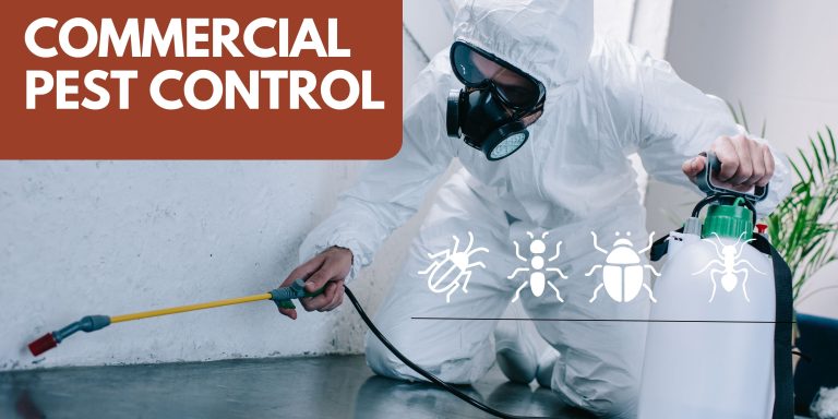 Commercial-Pest-Control