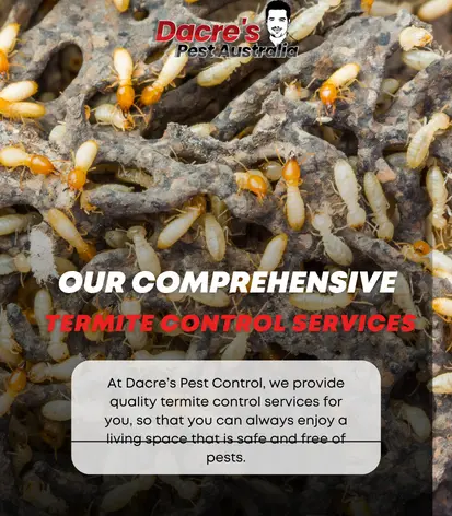 Professional Termite Control