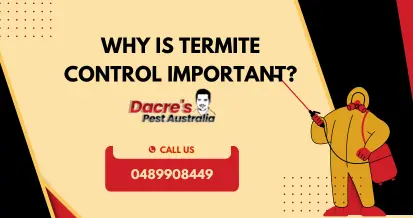 Professional Termite Control